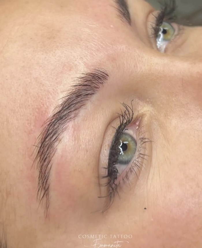 Nano hair-stroke brows by Emmanita Cosmetic Tattoo