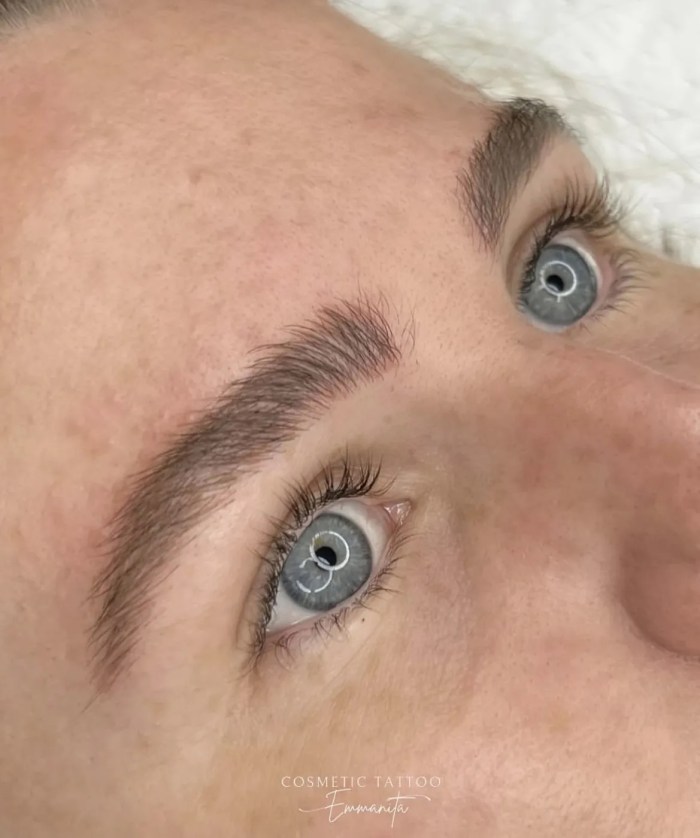 Combination brows by Emmanita Cosmetic Tattoo